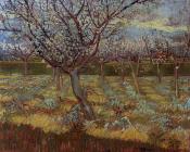 文森特威廉梵高 - 开花的杏树
